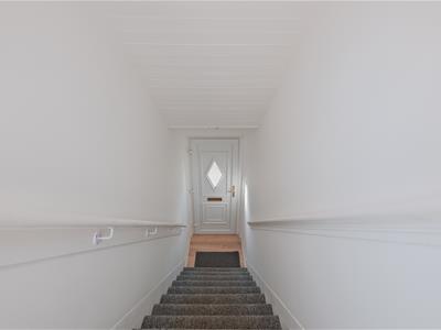 Picture 24